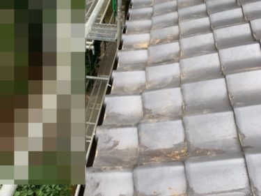 千葉県成田市　W様邸　棟瓦補強、平瓦差し替え工事