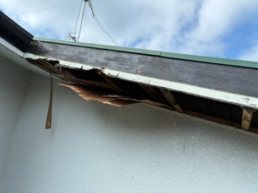 害獣・鳥害対策